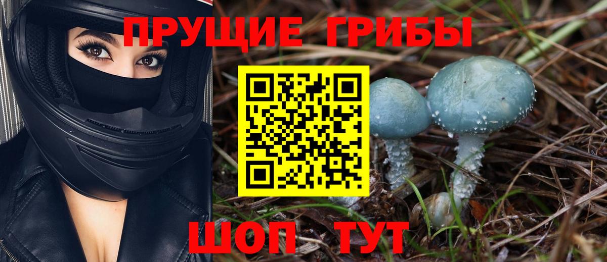 где найти   Псилоцибиновые грибы Cubensis  Вход с VPN  Елизово 